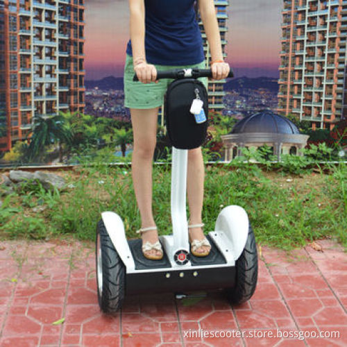 Made in China for Tourist Rent Electric Bike